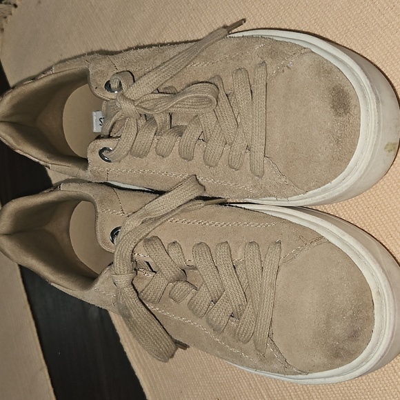 Steve Madden Charlie Suede Sneakers - Picture 1 of 5